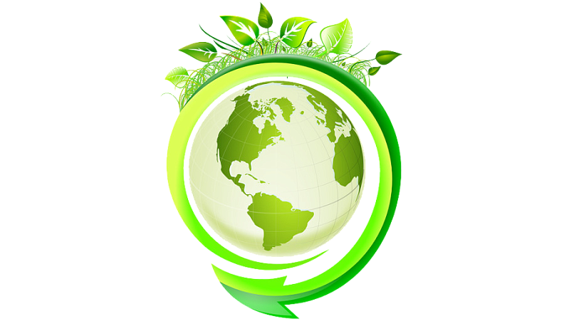 Как получить «зелёный пояс»