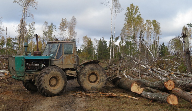 Стихия наломала дров