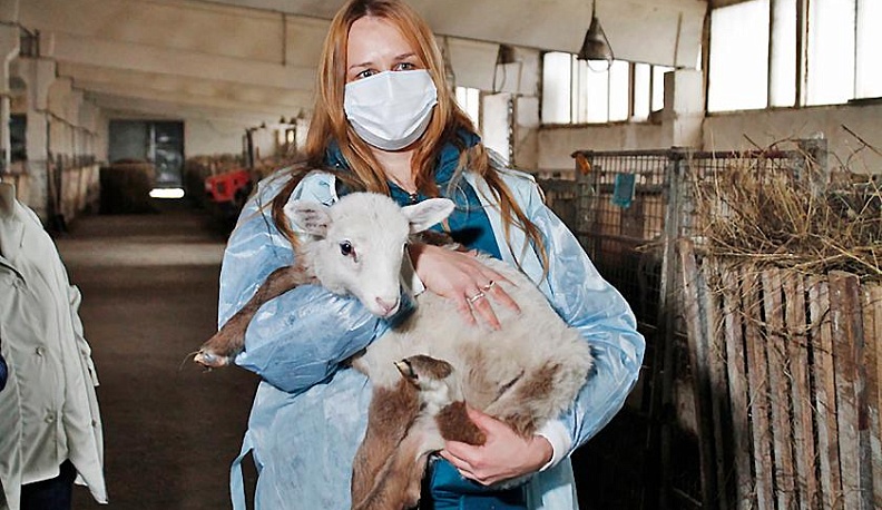 Свои, породистые, уникальные