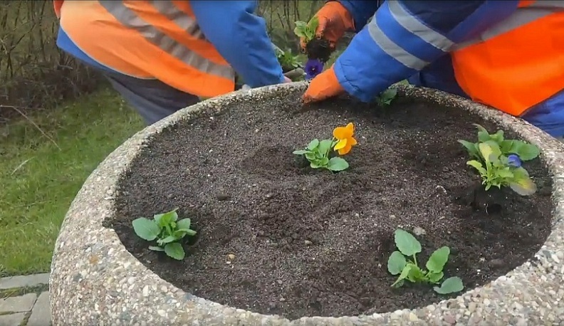 В Обнинске к майским праздникам наведут порядок на клумбах