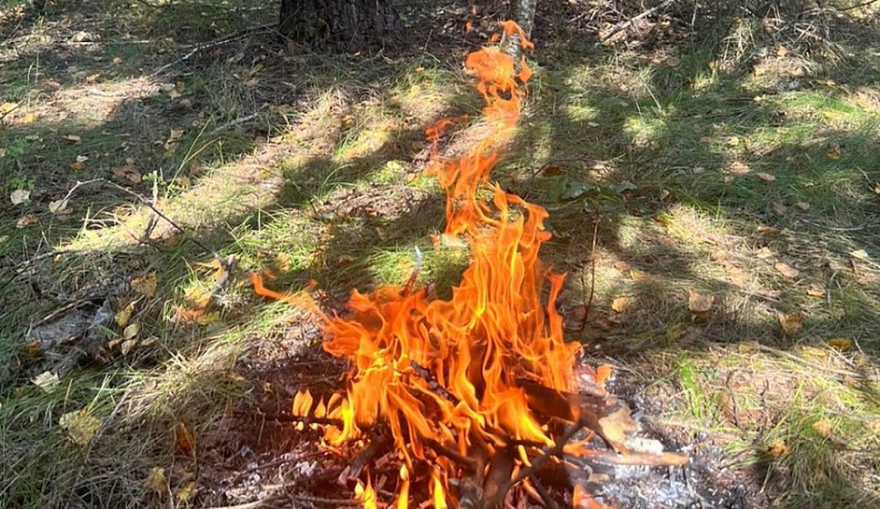 В Калужской области жителей оштрафовали на 325 тысяч рублей за разведение костров