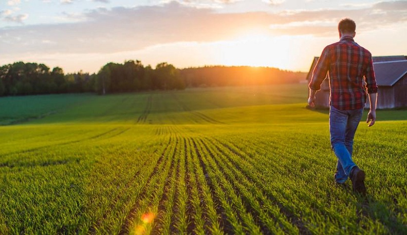 Поддержка на старте
