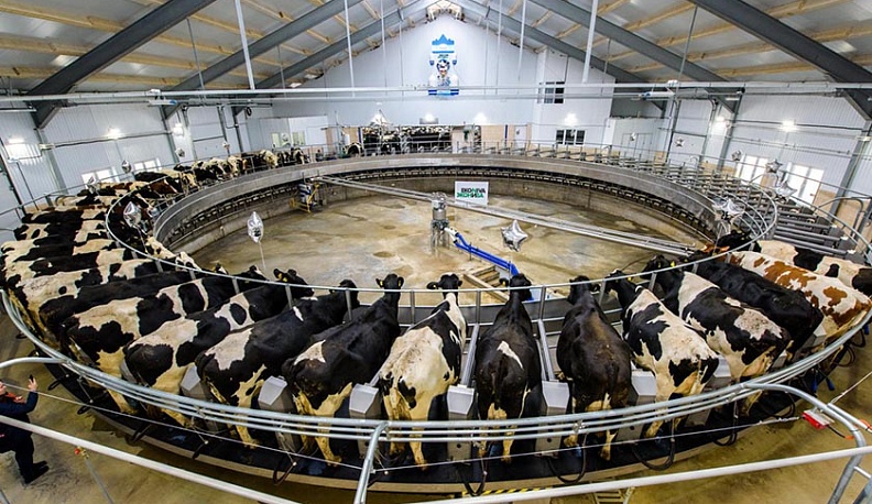 Леонид Громов поздравил коллег с профессиональным праздником