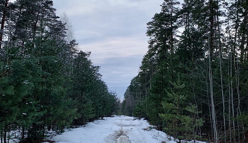 На защите калужских лесов стоят 143 внештатных инспектора