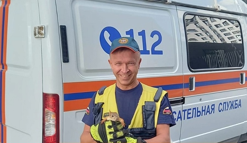 В Обнинске спасли белку из клиники 