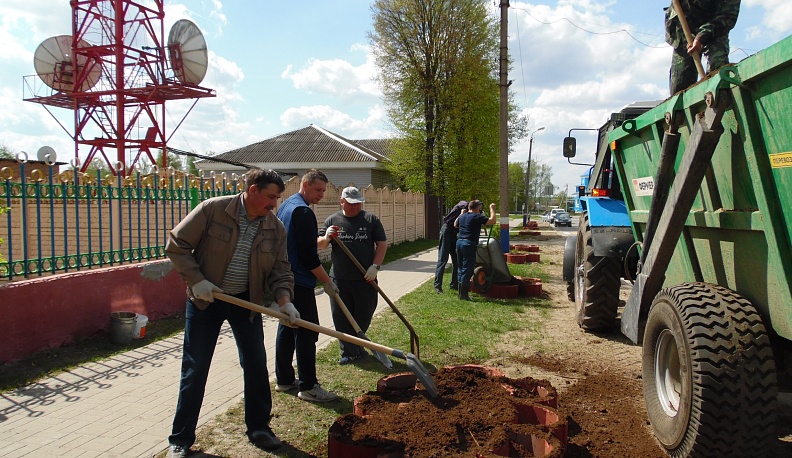 Красота в подарок