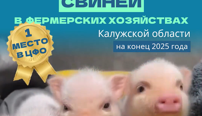 Первое место в ЦФО занимает Калужская область по выращиванию свиней