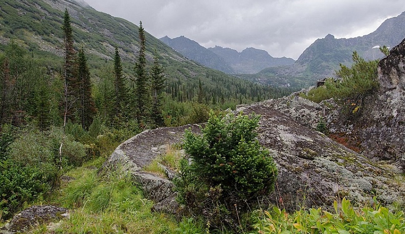 Сегодня в России отмечается День заповедников и национальных парков 