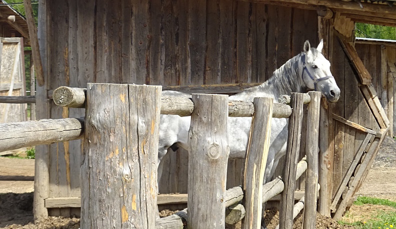 Эй, залётные!