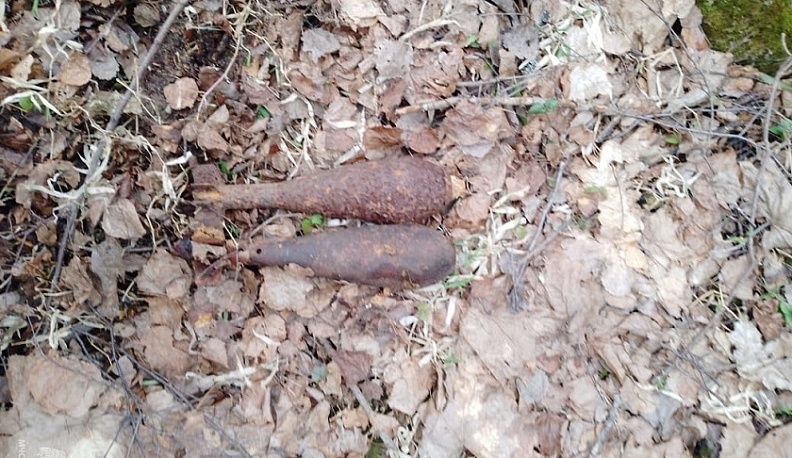 В Калужской области обезвредили два снаряда