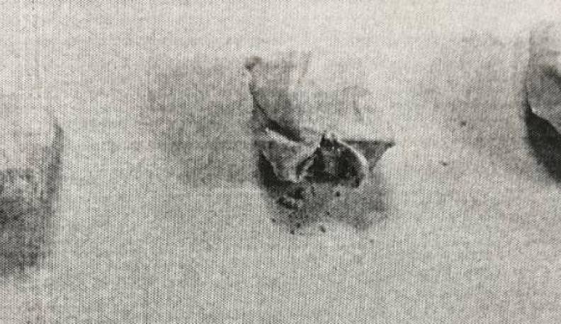 Иностранный студент и его земляк сбывали в Калуге наркотики