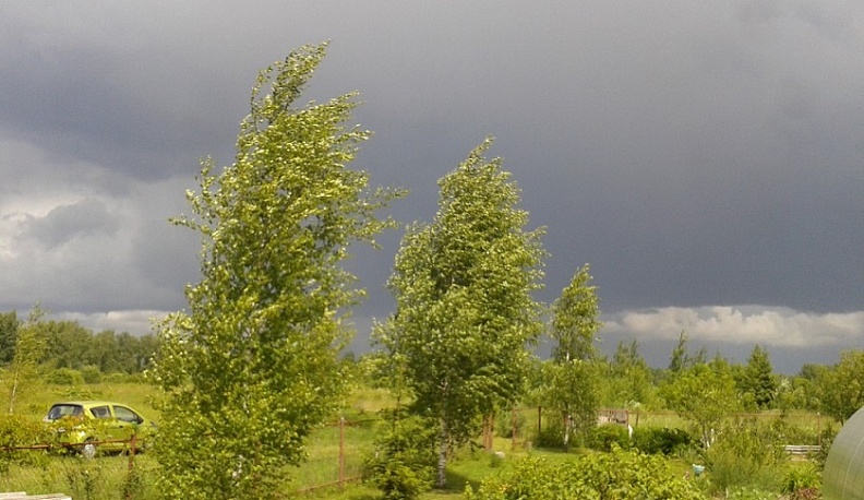 МЧС предупреждает калужан об усилении ветра