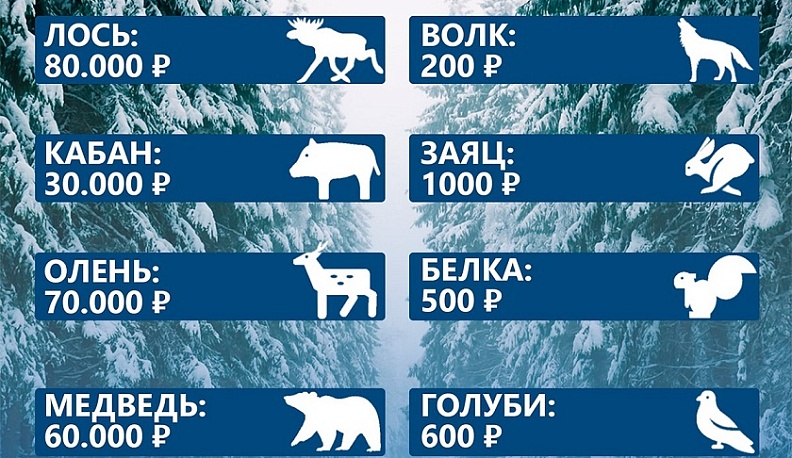 Калужанам рассказали о штрафах за гибель диких животных