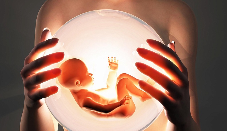 Когда родители становятся судьями