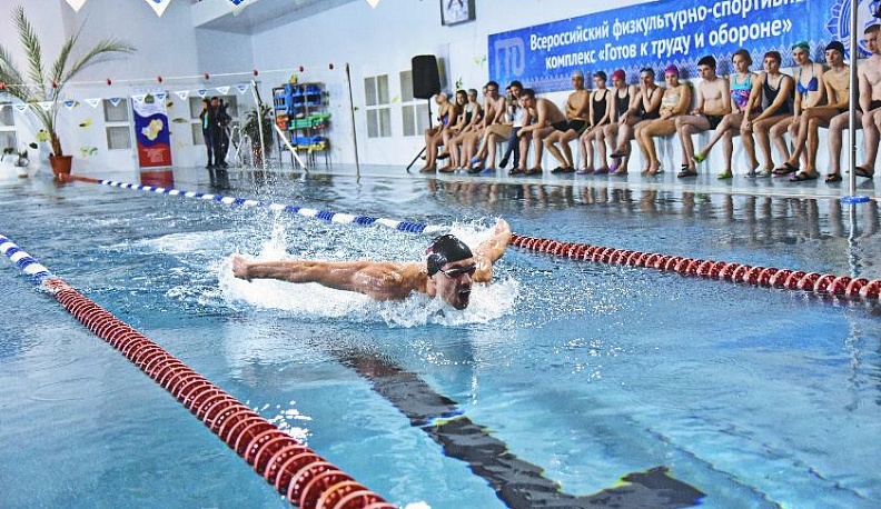 Заплыв с чемпионами