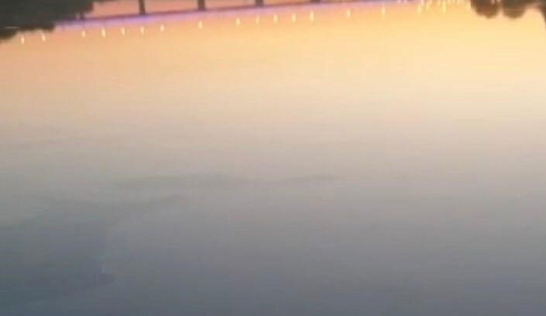 Экологи не нашли источник заражения Оки в Калуге