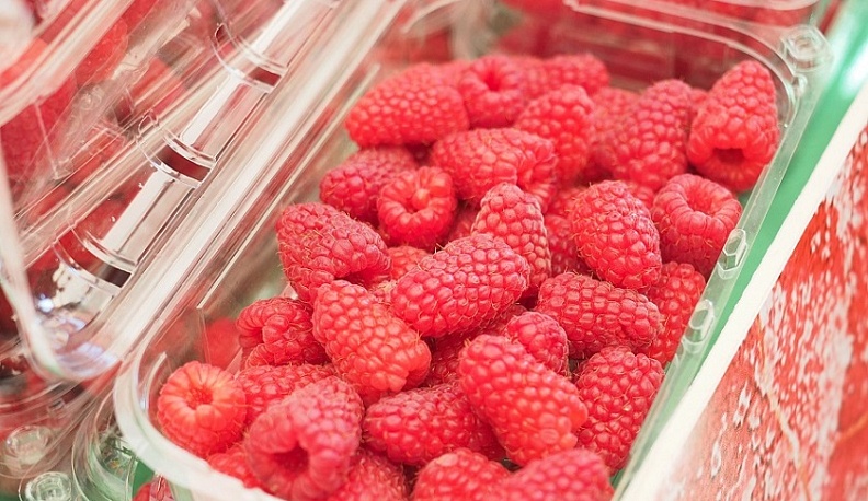 Владислав Шапша рассказал о перспективах развития садоводства в регионе