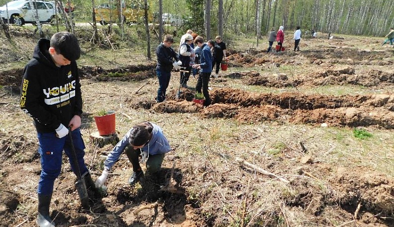 В рамках акции «Сад Памяти» у деревни Чапаевка Дзержинского района посадили более 6 тысяч елей