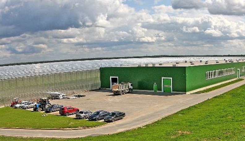 Фабрика витаминов