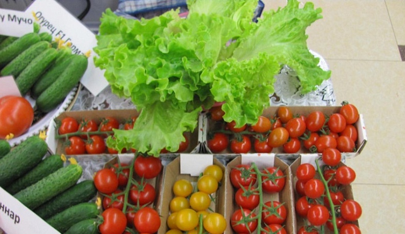 В Калужской области подешевели овощи