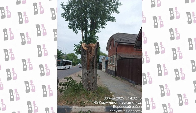 В Боровске убрали дерево, упавшее на жилой дом