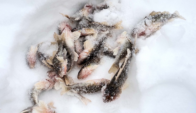 Осторожно, лёд!