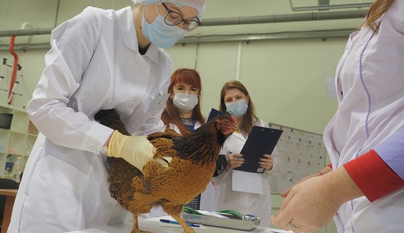 В Калуге обсудили проблемы взаимодействия системы профобразования и бизнеса