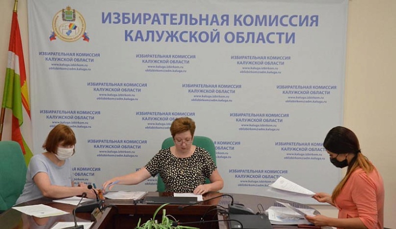 Елена Ефанова сдала в облизбирком подписи муниципальных депутатов