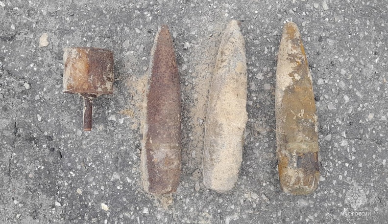 В лесах Калужской области нашли несколько боеприпасов времен Великой Отечественной войны