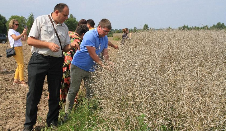 Растение будущего...