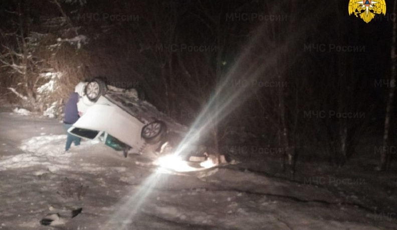 Калужской области иномарка улетела в кювет