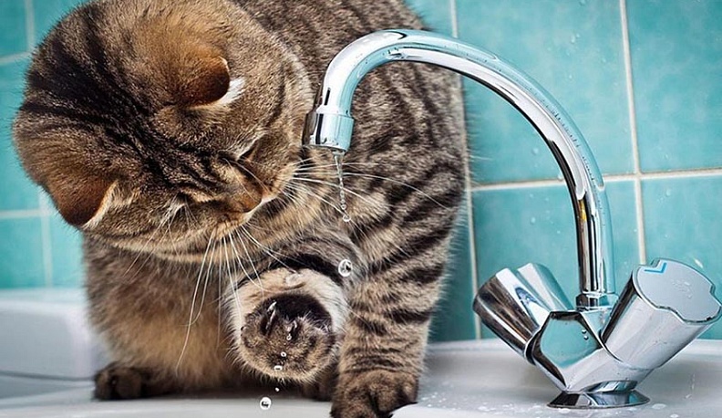 Часть калужских окраин 5 декабря останутся без воды