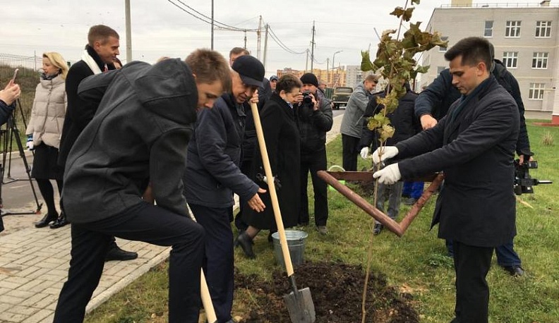 У школы на Правобережье высадили полсотни клёнов 