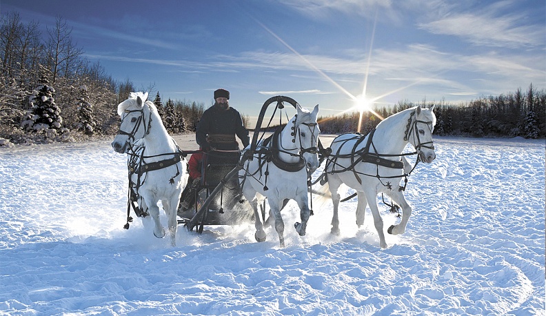 Эх, тройка!   Птица-тройка!
