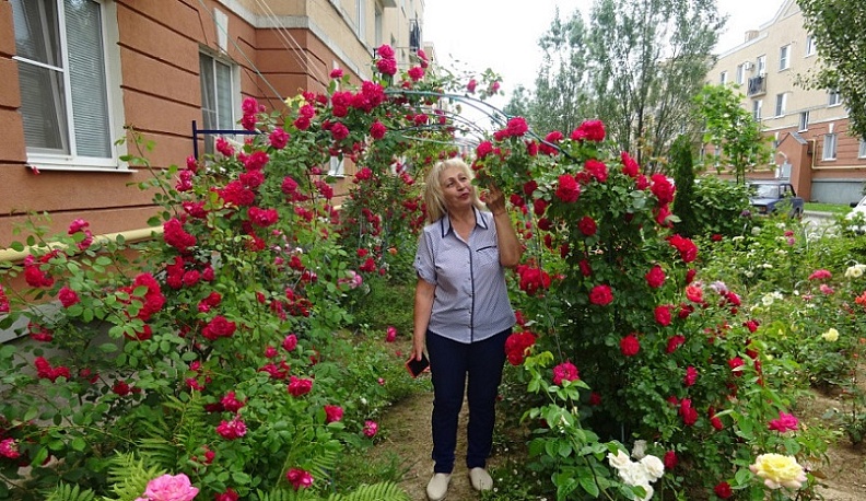 1 мая начнется конкурс «Калуга в цвету»