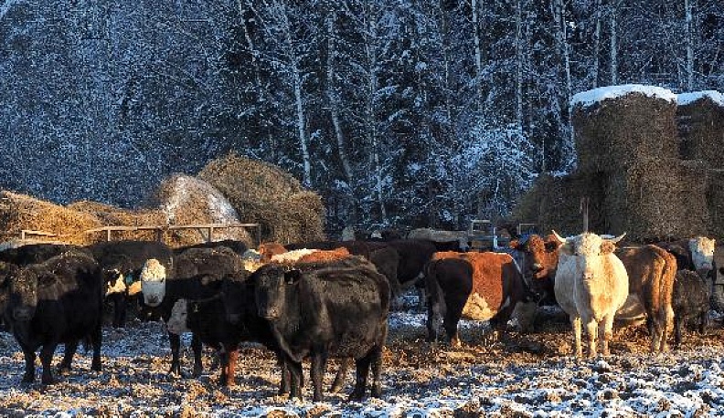 Красно-чёрно- белый символ