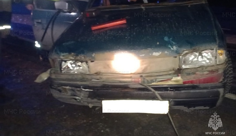 В Калужской области легковушка сбила лося