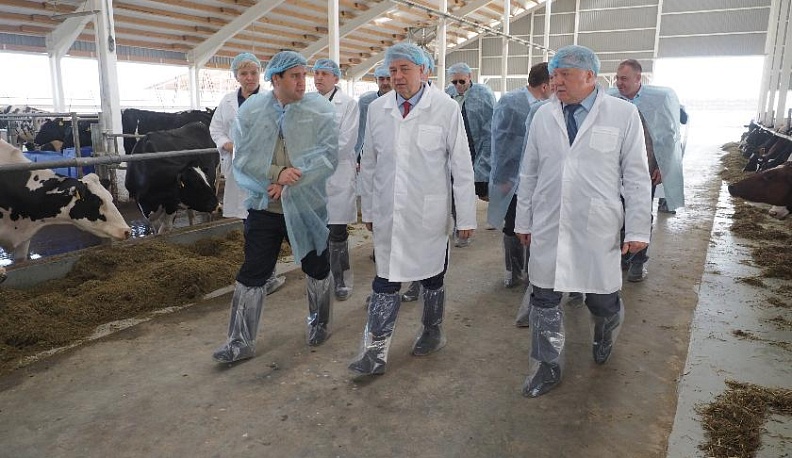 «Зелёные линии» укрепляют юго-запад