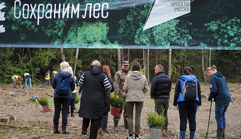 В Калужской области Российские дни леса калужане встретили с мечом Колесова 