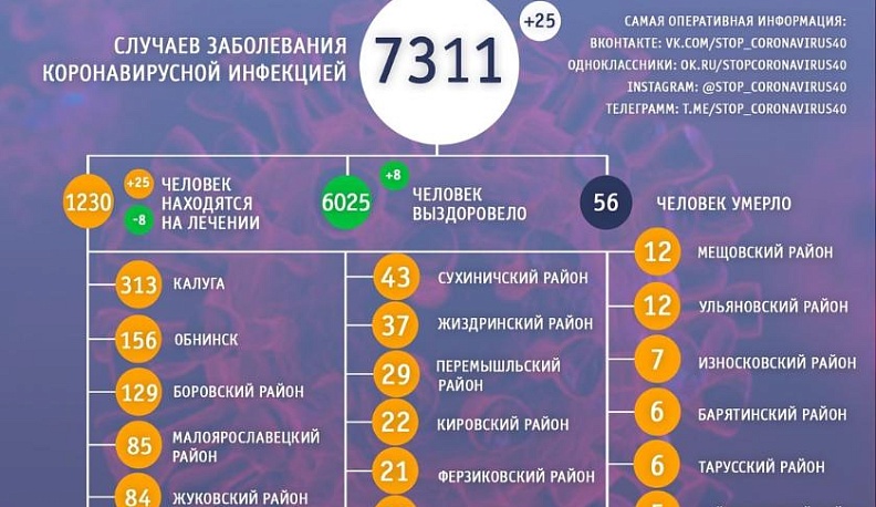 В Калужской области обновили статистику заболеваемости коронавирусом
