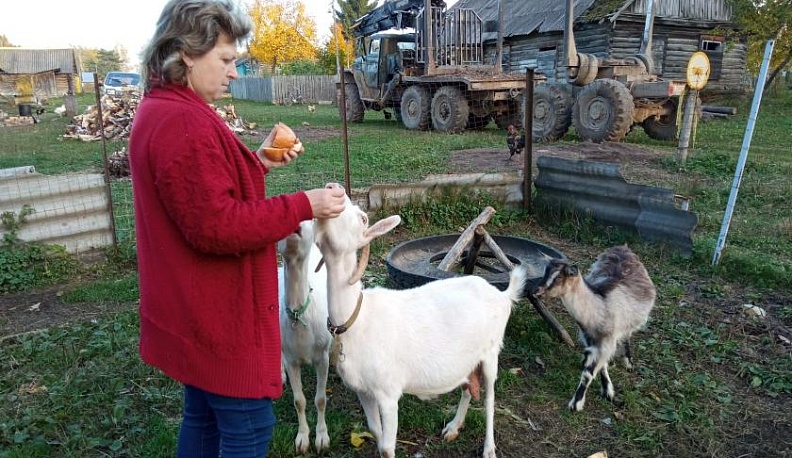 Дело верное