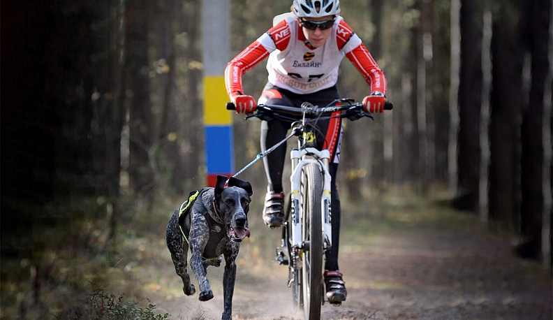 Спортивные хроники №90