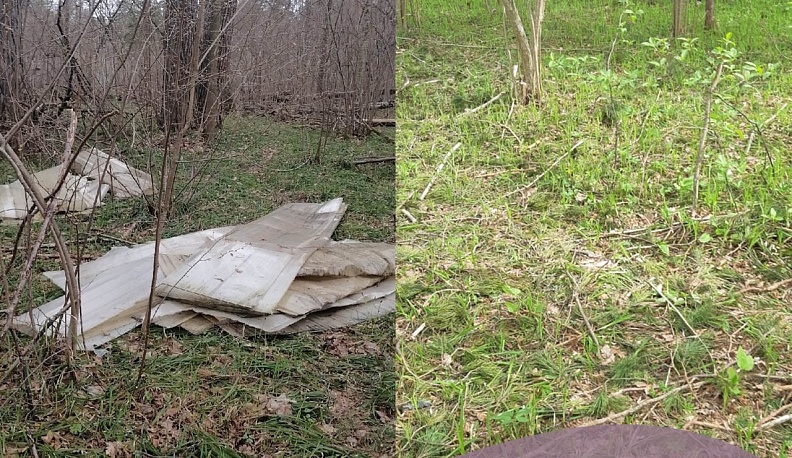 В Калужском лесничестве ликвидировали очередную свалку