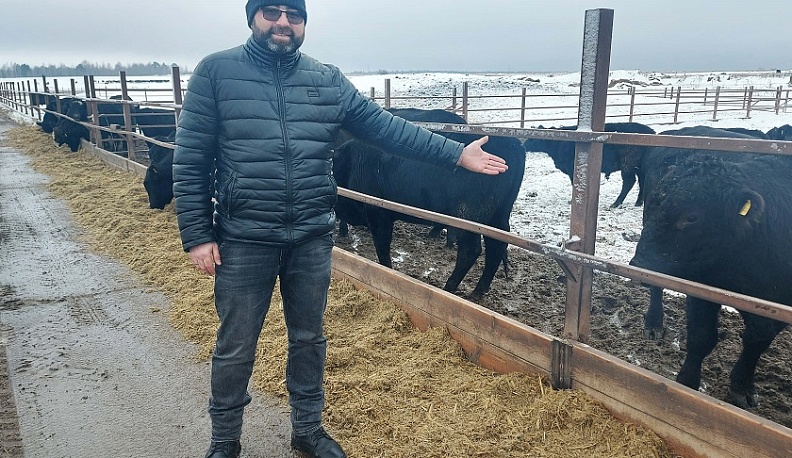 Кукурузные поля помогли калужскому фермеру и заработать, и коров накормить