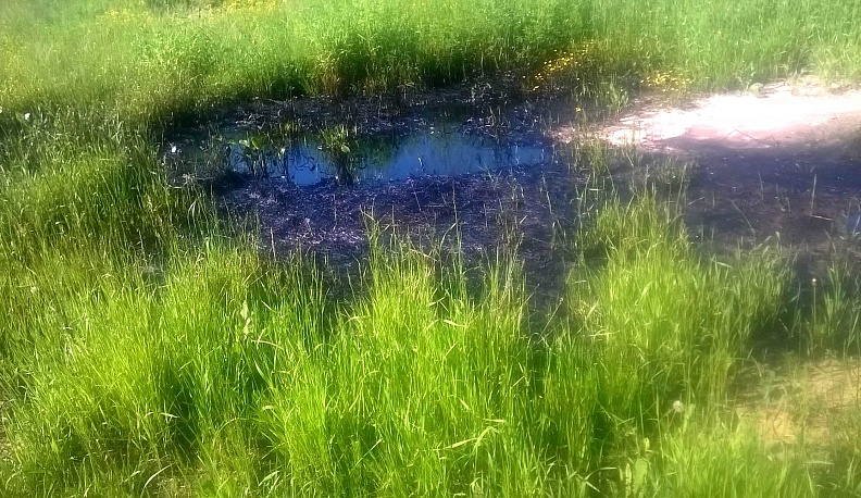 В Калуге, в районе Секиотова, появилась лужа из солярки