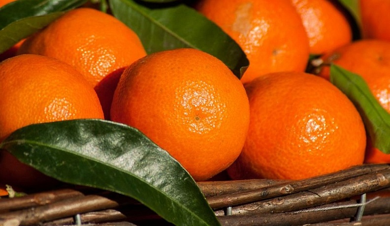 В Калугу пытались завезти зараженные мандарины