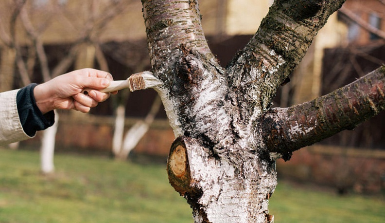 Жителей Калуги просят не парковаться на Тульской с 14 по 25 апреля