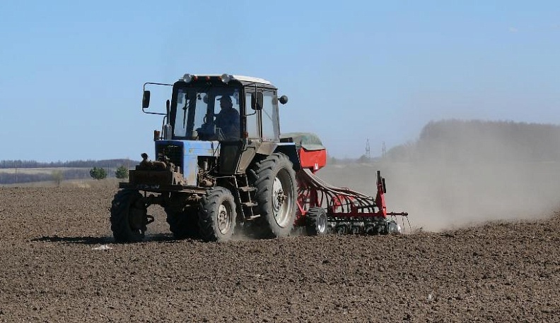 Все – в поле! 