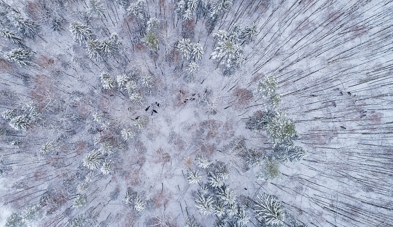 Калужские фотографы участвуют в фестивале "Первозданная Россия"