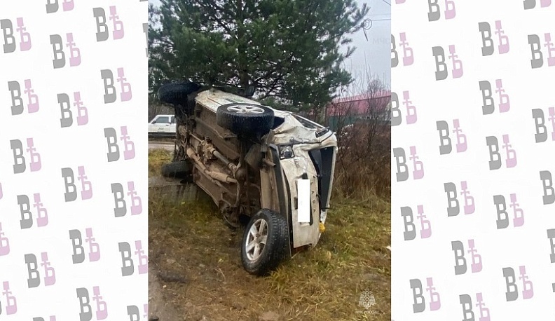 В Калужской области Нива съехала в кювет